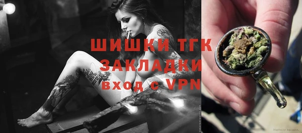 шишки Заволжье