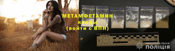 шишки Заволжье