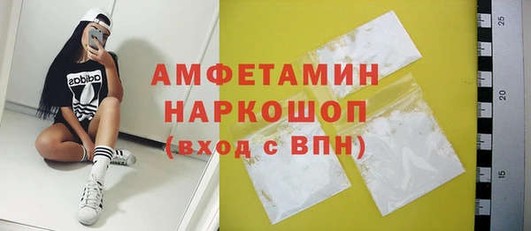 шишки Заволжье