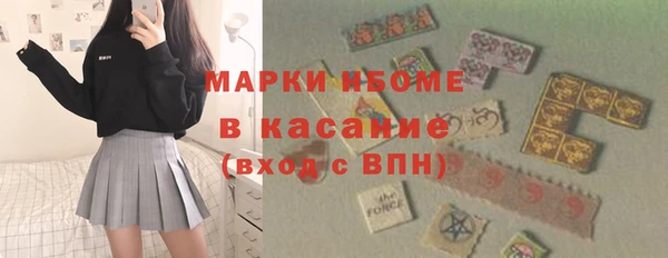 шишки Заволжье