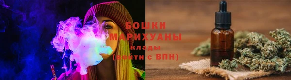шишки Заволжье