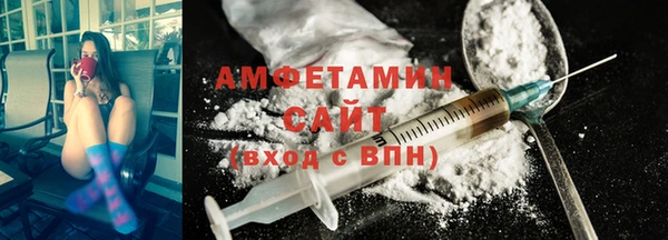 шишки Заволжье