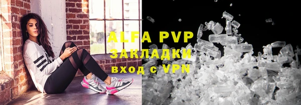 шишки Заволжье