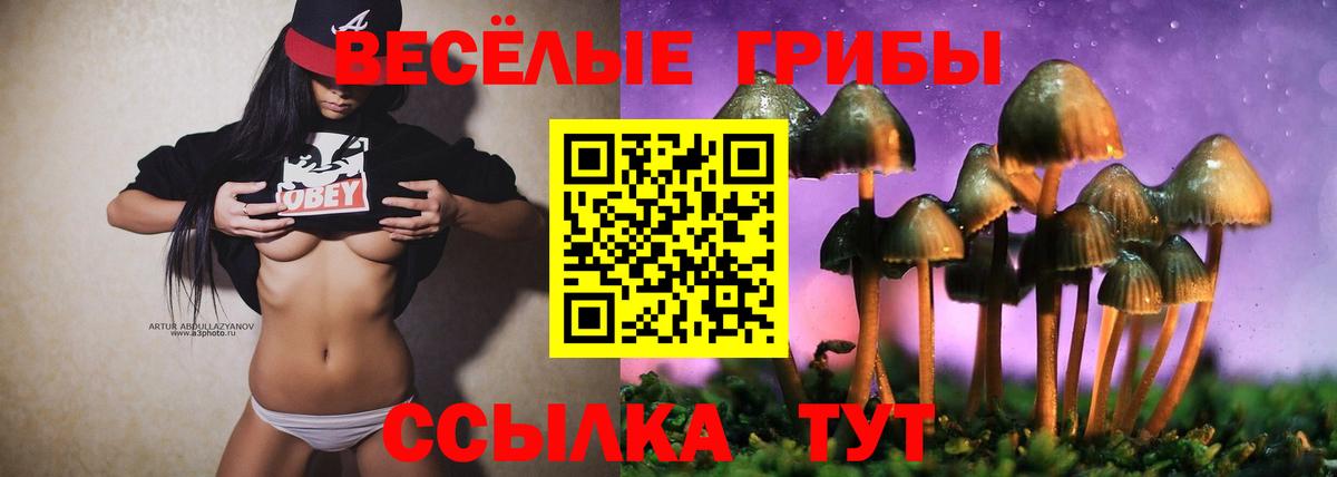 Псилоцибиновые грибы MAGIC MUSHROOMS Южноуральск